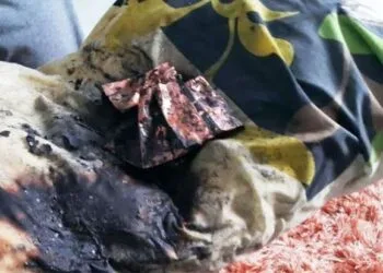 Source: thestar.com.my