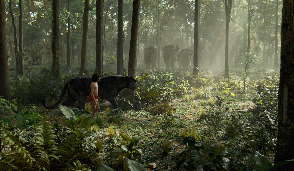 Mowgli & Bagheera in "The Jungle Book" (Source: Disney)