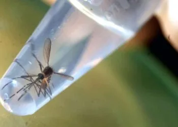 Source: straitstimes.com