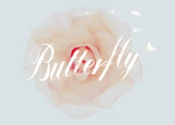 Source: B2ST official Facebook