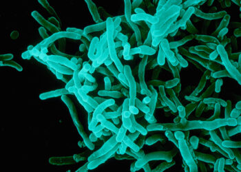Source: Sanofi Pasteur via Flickr