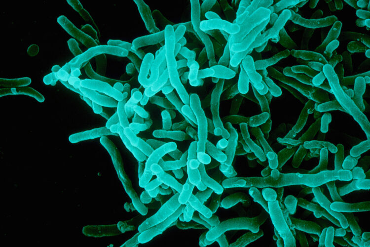 Source: Sanofi Pasteur via Flickr