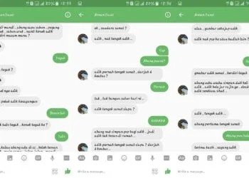 Source: Nurulainey Ab Halim's Facebook post