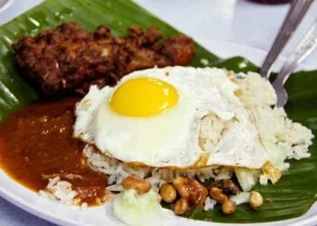 Source: www.vlifestyle-my.com