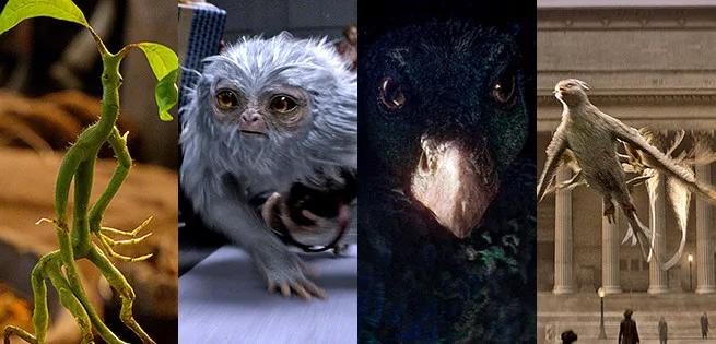 fantasticbeasts-creatures
