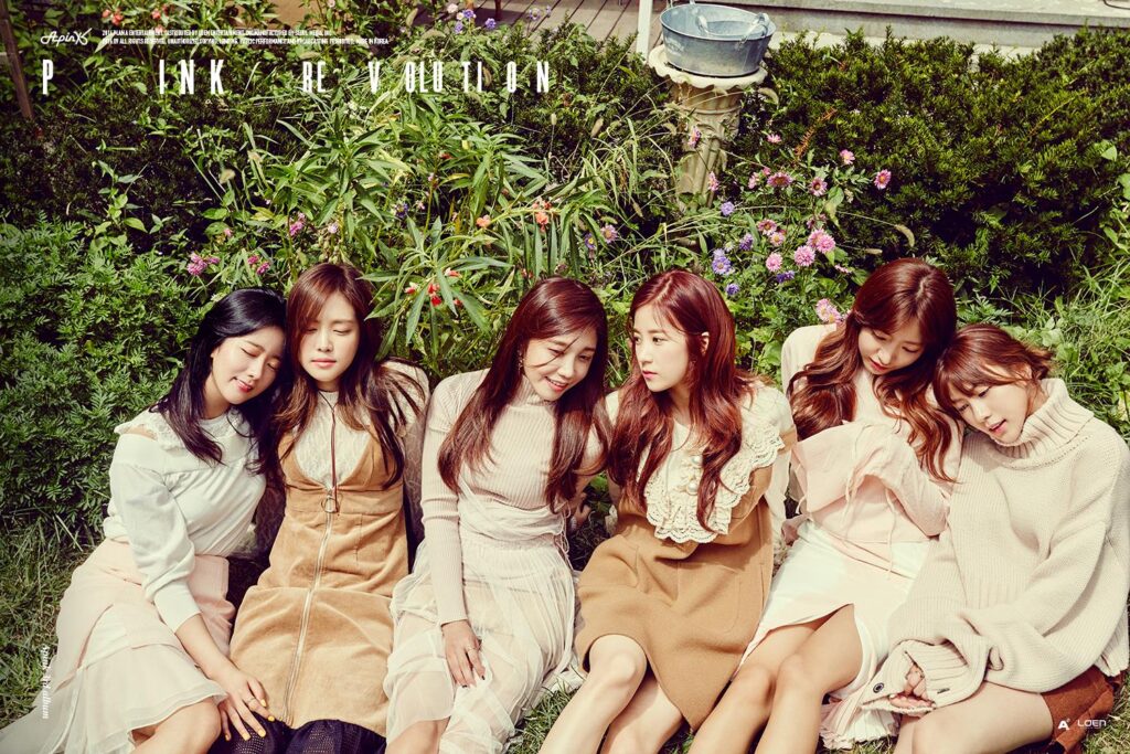 Source: APINK's official Facebook