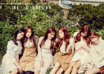 Source: APINK's official Facebook