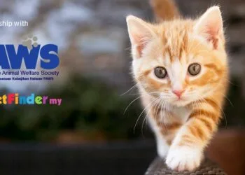 Source: Uber's newsroom