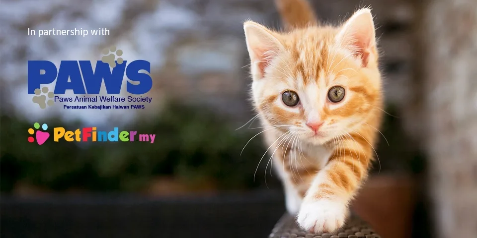 Source: Uber's newsroom