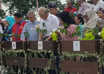 Source: thestar.com.my