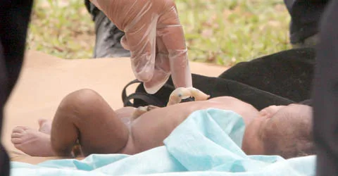 Source: The Malaysian Times