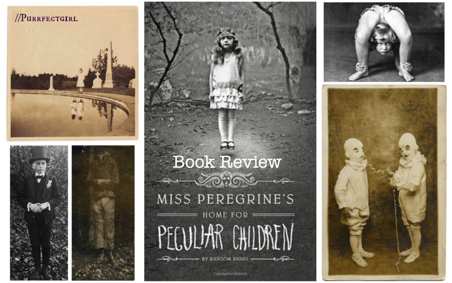 miss peregrine Purrfect Girl