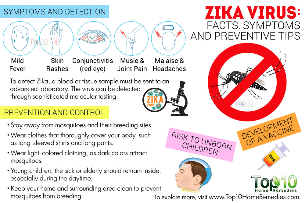 zika-virus-new Top 10 Home Remedies