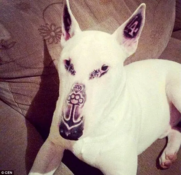 dog tattoo