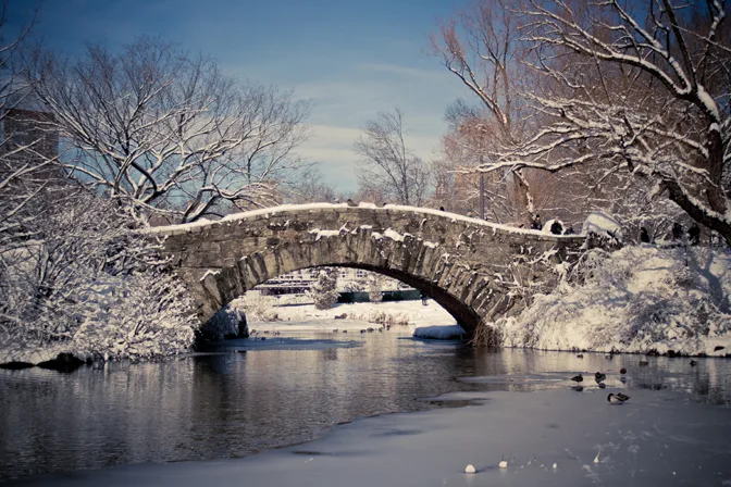 Source: Perry & Roses