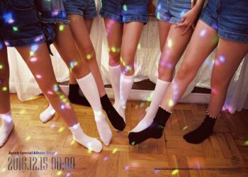 Source: APINK's Twitter