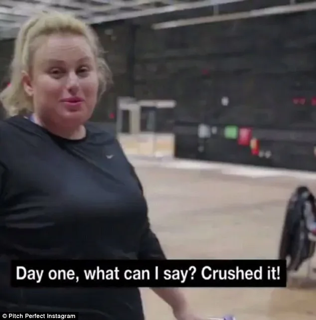 Rebel_Wilson pitch perfect