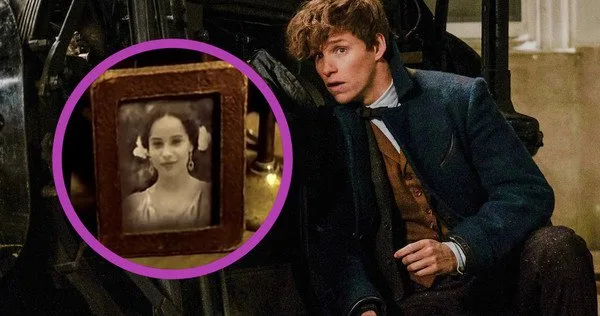 leta lestrange zoe kravitz Movie Web
