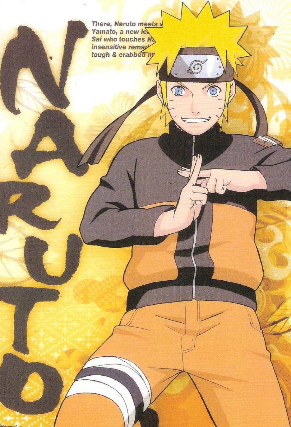 NARUTO SHIPPUDEN CHARACTERS POSTER, JAPANESE ANIME COMIC NEW 24x36