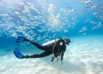 Source: AMI Travel & Tours