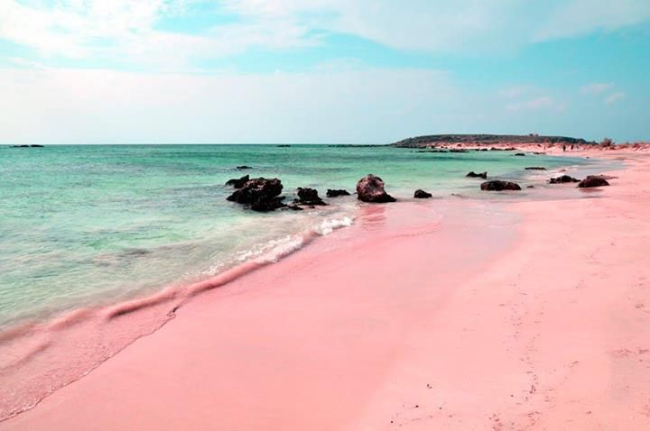 Exploring the Magnificence of Barbuda Pink Sand Beach
