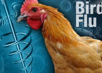 Source: Kathmandu Post