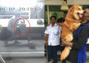 Source: MDDB's Facebook page