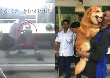 Source: MDDB's Facebook page