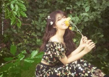 Source: APINK's Facebook Page