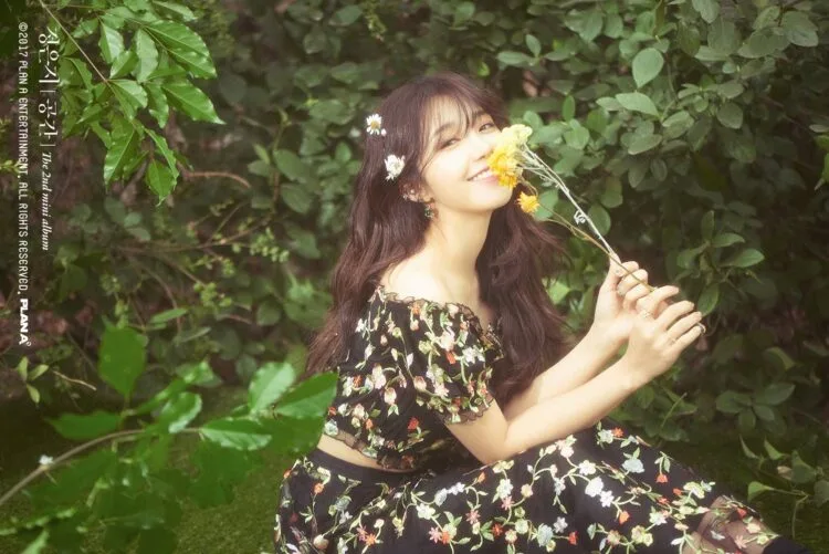 Source: APINK's Facebook Page