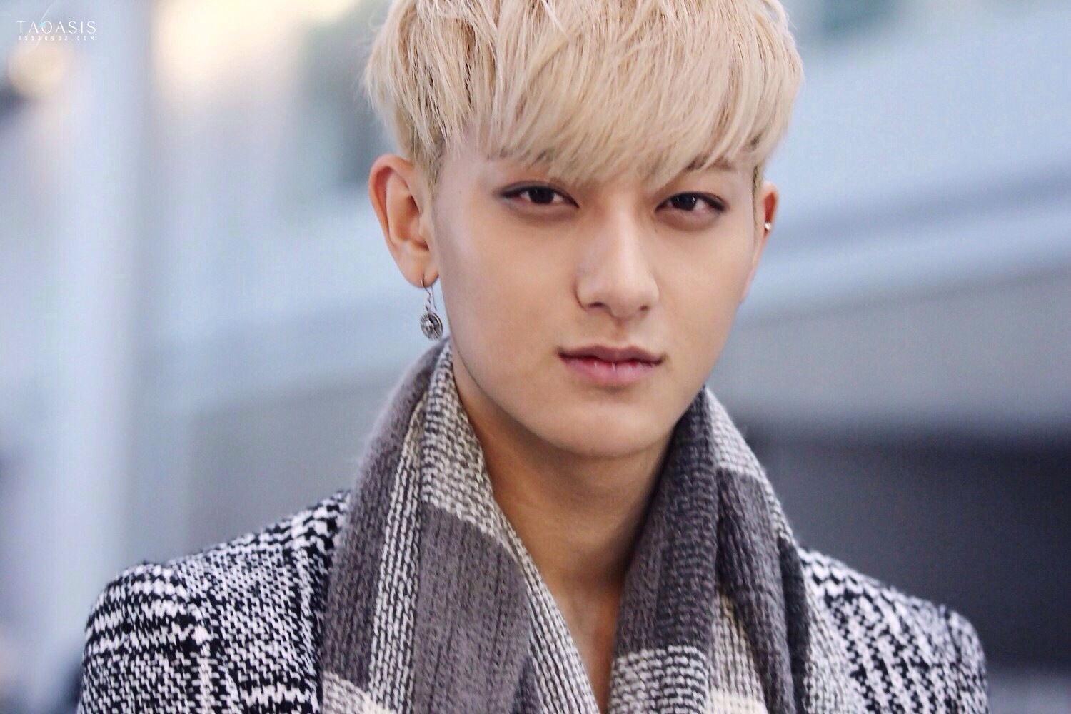 ZTao Tao Profile and Facts Taos Ideal Type Updated