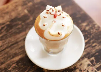 Source: Lady Iron Chef