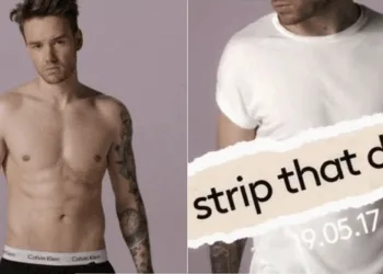 Liam Payne Strip That Down