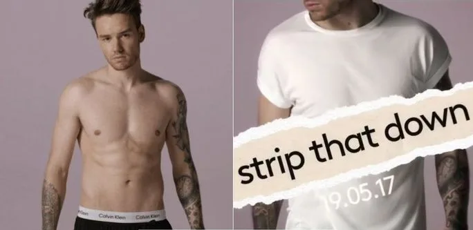 Liam Payne Strip That Down