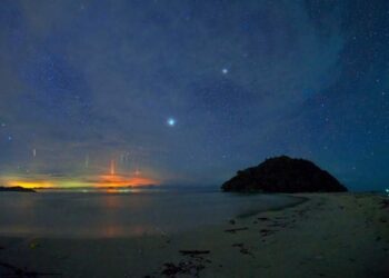 Source: Andrew JK Tan