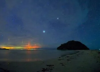 Source: Andrew JK Tan