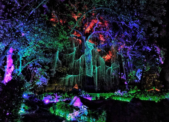 #PenangAvatarSecretGarden: Come Experience An Avatar-Like Garden In Penang