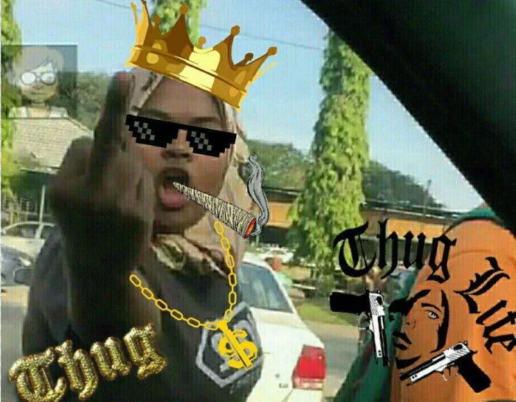 Rude Lady Driver Meme