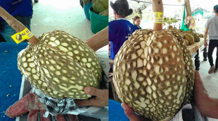 Source: Bangkok Coconuts