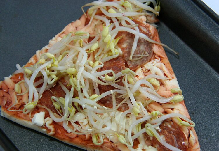 Taugeh Pizza