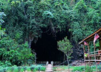 Source: Gua Gomantong