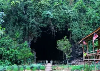 Source: Gua Gomantong