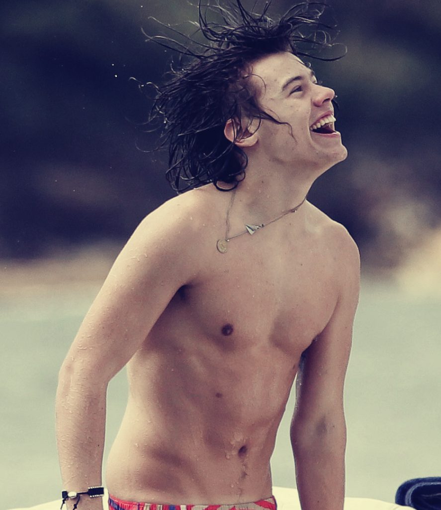 Harry Styles Nipples 