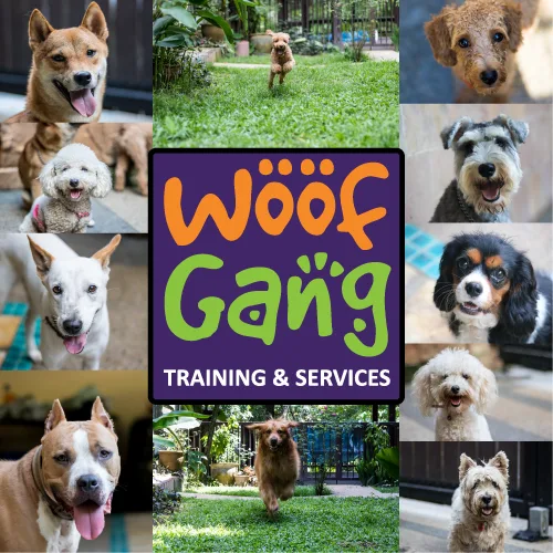 Woof Gang