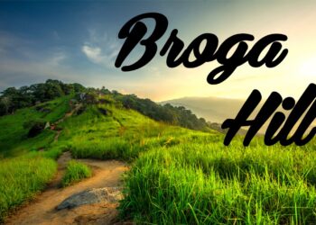 Broga Hill