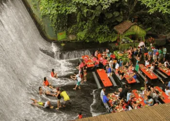 Waterfall Restaurant