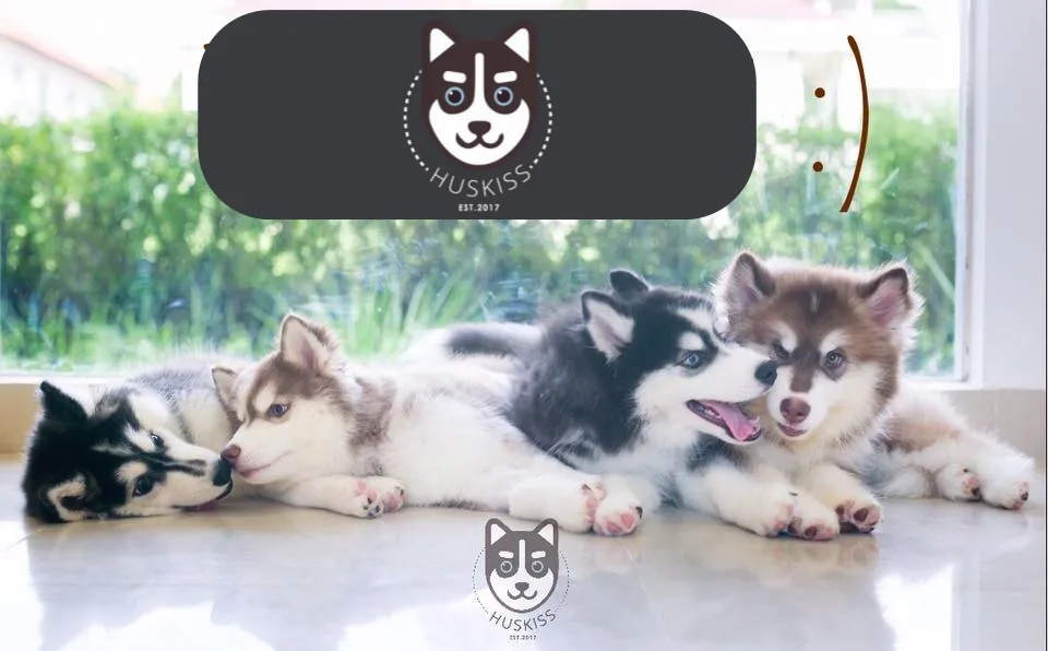 Huskiss Cafe