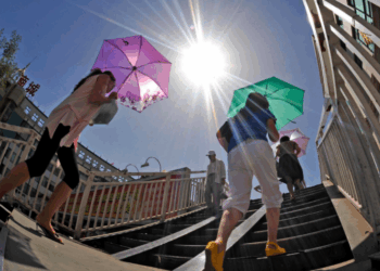 Scorching Heatwave