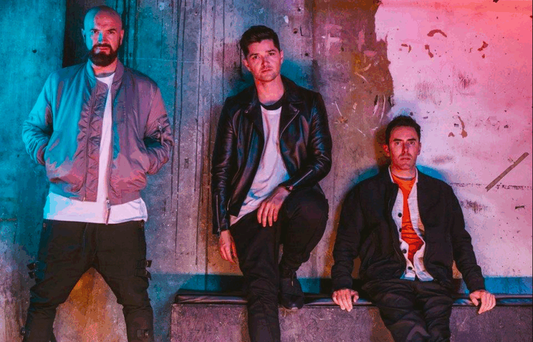 The Script