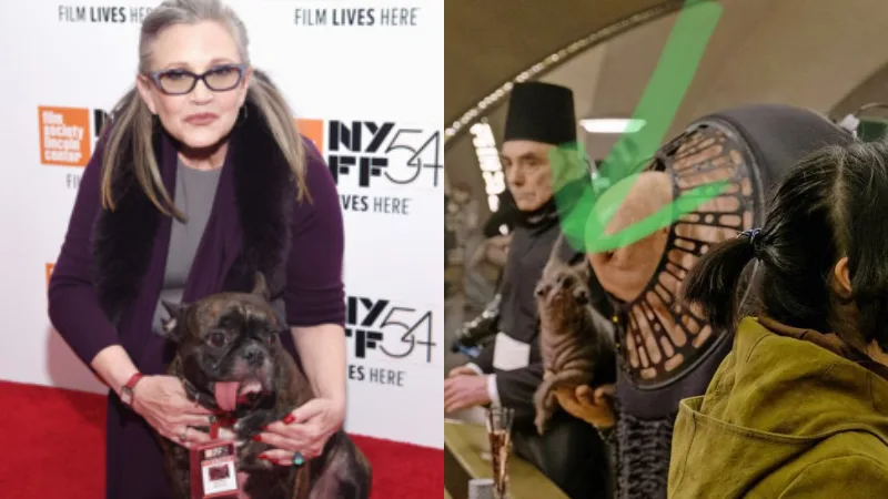 Star Wars The Last Jedi